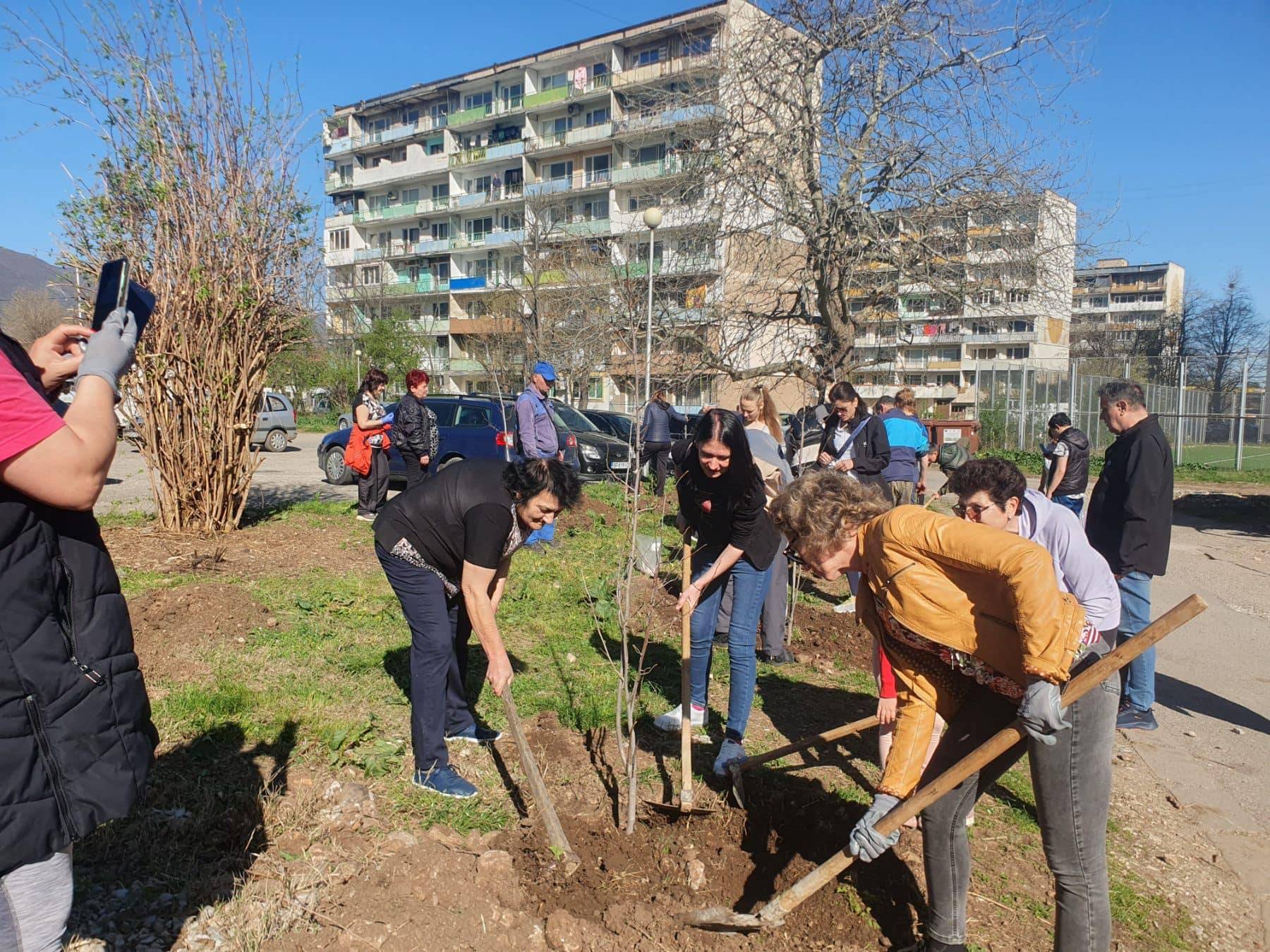 Засадени са още 100 дървета във Враца